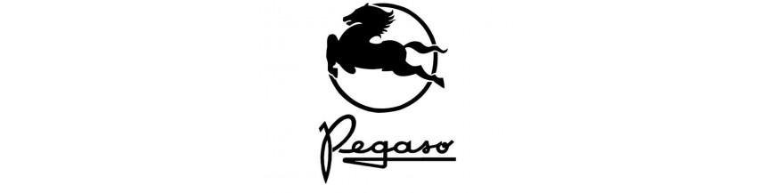 PEGASO